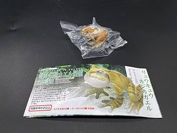 Amazon.co.jp: ユージン原色両生類 カエル図鑑（新改訂版） リュキュウ