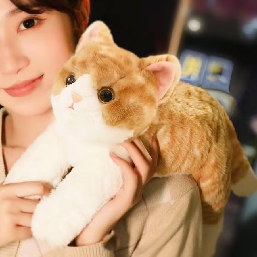 Amazon.co.jp: 茶トラ 抱き枕 50cm ぬいぐるみ ネコ 猫 リアル