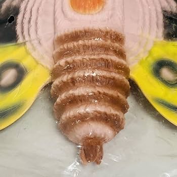 Amazon | 【未開封品】Marmit マーミット 世紀の大怪獣シリーズ モスラ