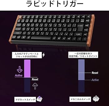 Amazon | 【国内正規品】Keychron K2 HE ラピッドトリガー ワイヤレス