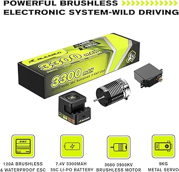 Amazon.com: AMORIL RLAARLO 1/10 AK-787 Large Brushless High Speed
