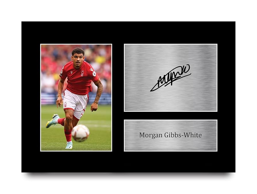 THOMAS McKNIGHT'S WORLD サイン入り版 (311/950) THOMAS McKNIGHT'S