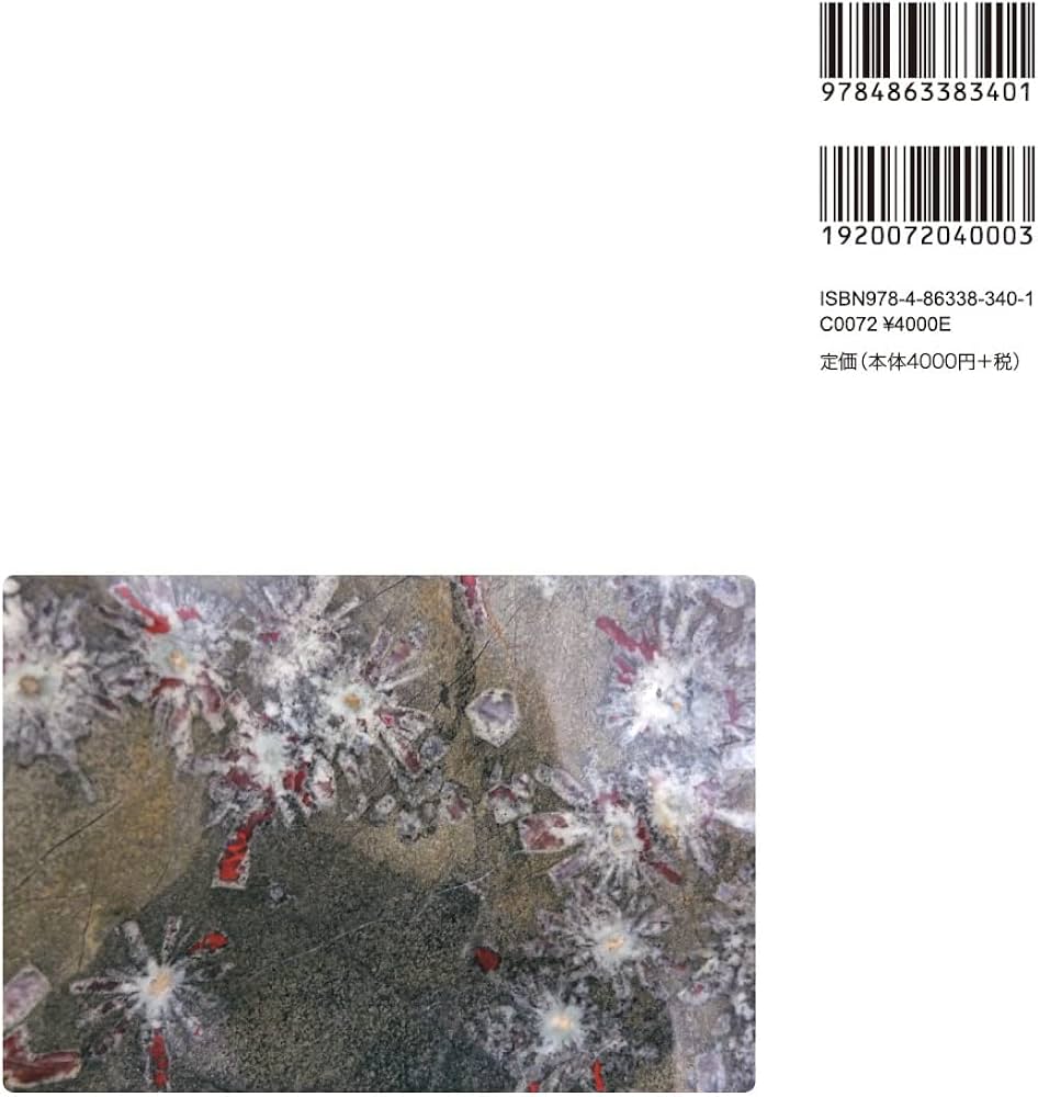 NEO菊花石 | 石原 宣夫 |本 | 通販 | Amazon