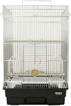 61v-3hIOKlL._AC_UF350,