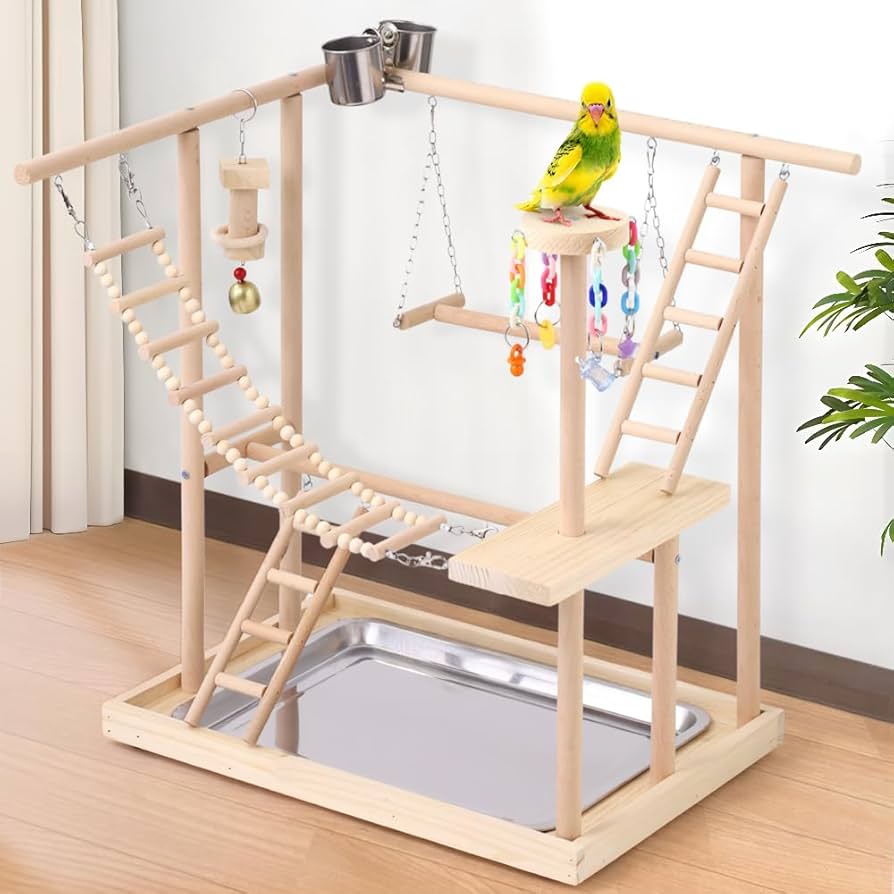 ひめ】ことりのおおきなあそびば ひめ】ことりのおおきなあそびば ひめ