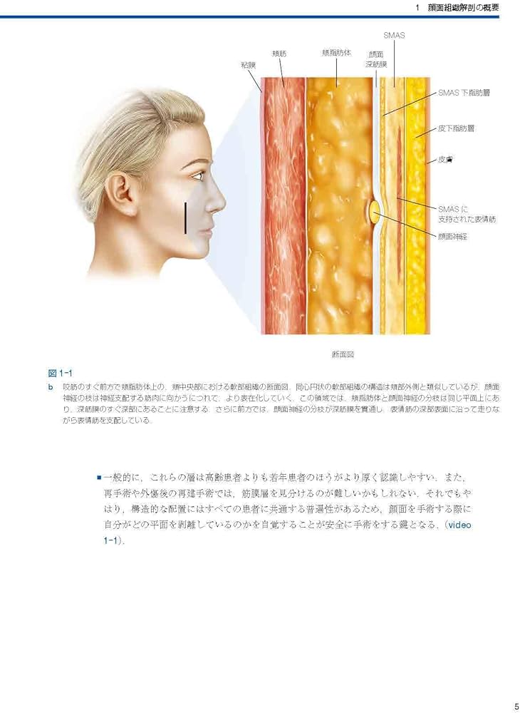 Facial Danger Zones 日本語版（フェイシャルデンジャーゾーン）［Web