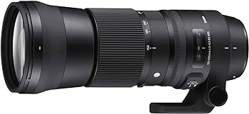 Amazon.com : Sigma 150-600mm 5-6.3 Contemporary DG OS HSM Lens for