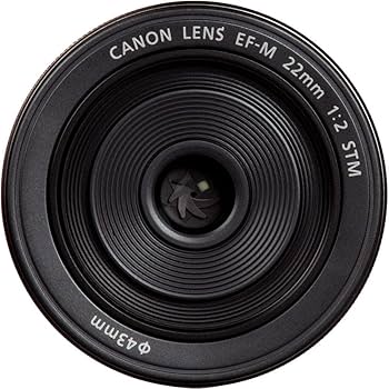 Canon EF-M 22mm f/2 STM Lens : Amazon.ca: Electronics