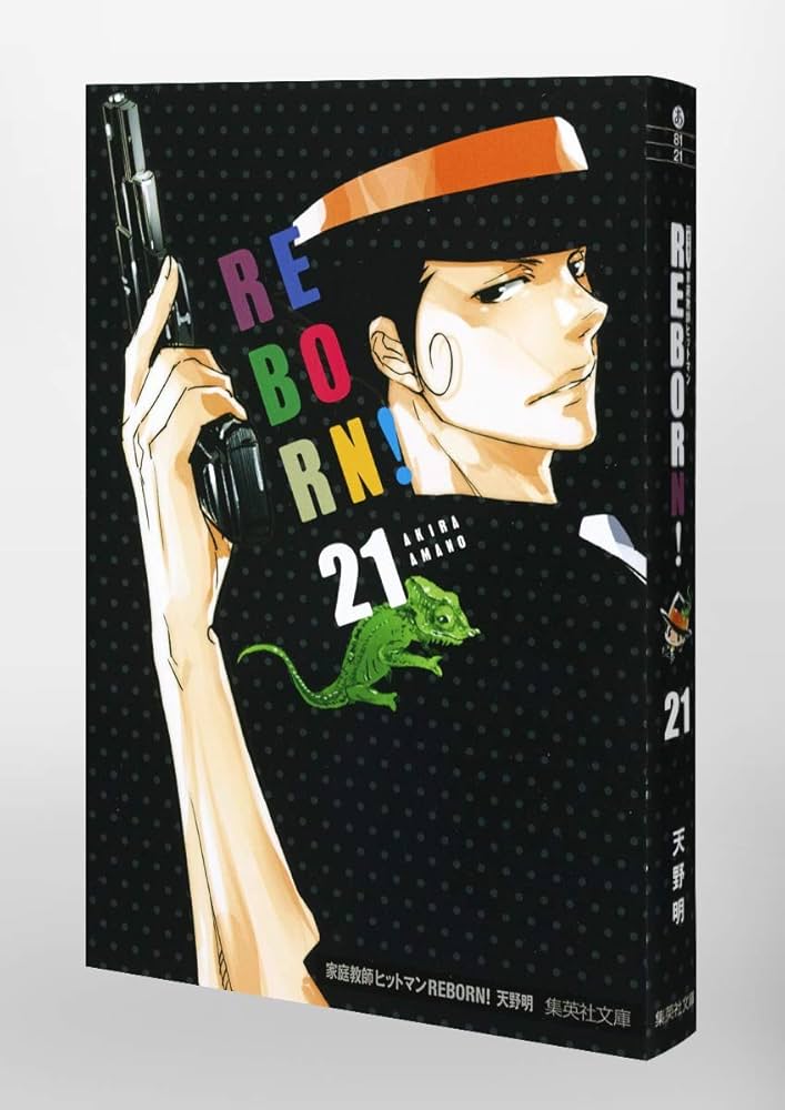 天野明 家庭教師ヒットマンREBORN! 全21巻分付録ポストカード21枚 天野