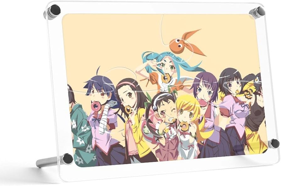 Amazon.co.jp: パズルフレーム 17x12cm アクリル アニメ 化物語