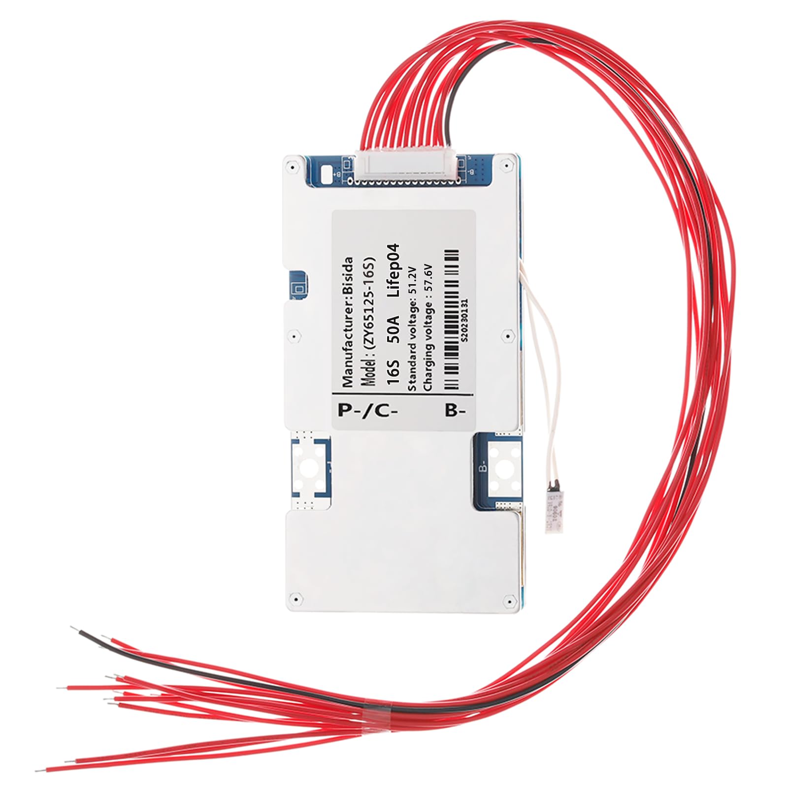 Amazon.com: Bisida 16S BMS 51.2V 50A Lifepo4 Battery Management