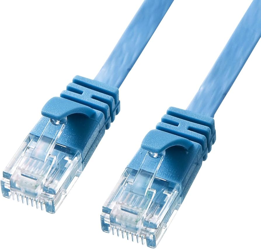 Amazon.co.jp: サンワサプライ CAT6A フラットLANケーブル (10m