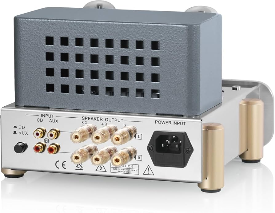 Amazon.com: Douk Audio F5 Pure Class A HiFi Vacuum Tube Amplifier