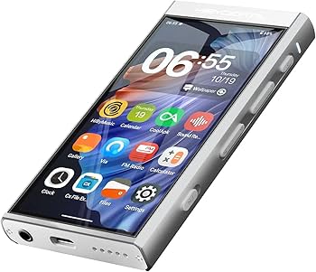 Amazon.co.jp: HiBy ユーティリティDAP M300 (シルバー) : 家電＆カメラ