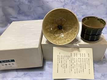 61xJOGro3BL._AC_UF350,