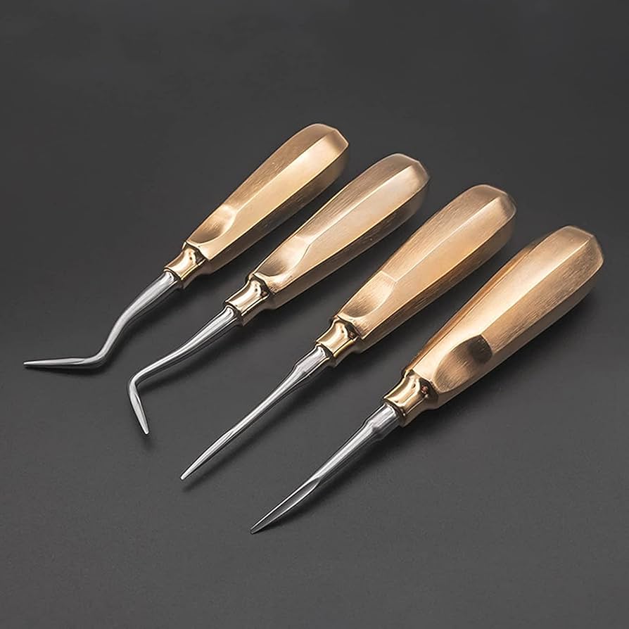 Amazon.co.jp: 歯の抜歯セット、ステンレス鋼の歯科用エレベーター