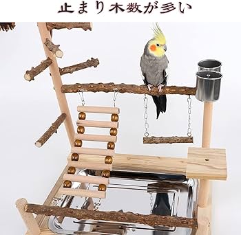 Amazon | バードアスレチック 鳥アスレチック 止まり木 パーチ 天然木