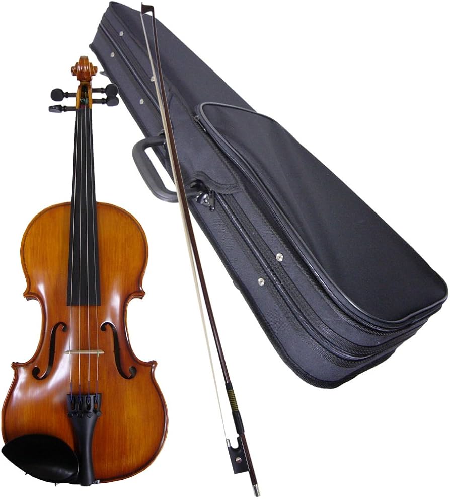 Amazon | 恵那バイオリン 4/4(大人サイズ) ケース付き3点セット
