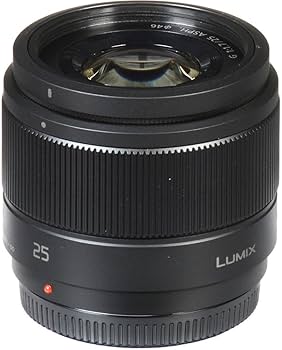 Amazon.com : Panasonic LUMIX G Lens, 25mm, F1.7 ASPH, Mirrorless