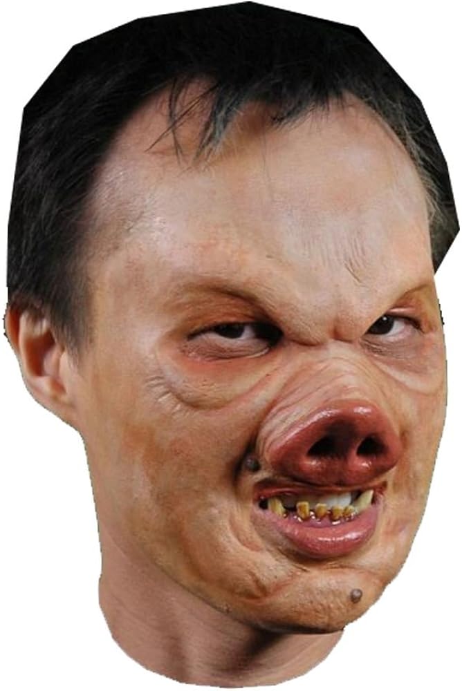 Amazon.com: Pervis Pig Foam Latex Mask Prosthetic Professional