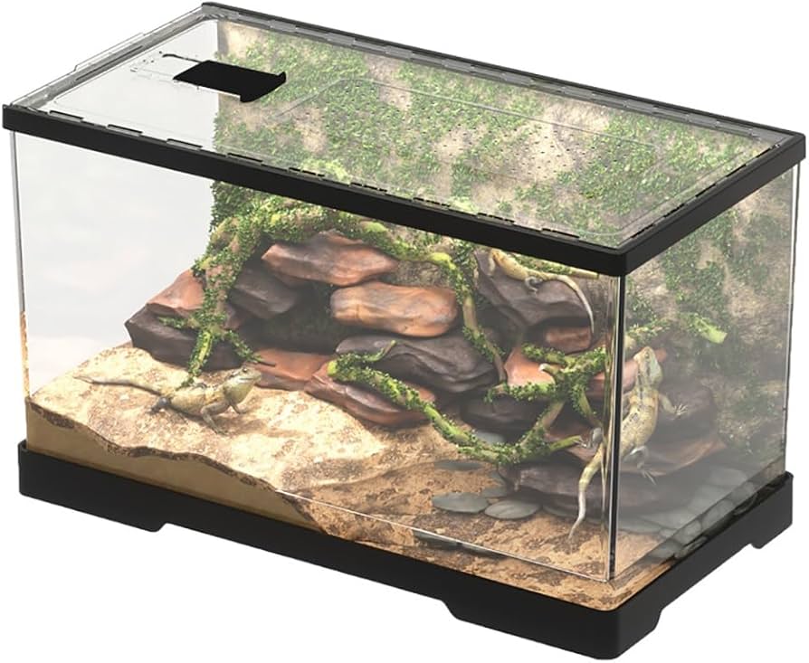 Amazon | 両生類生息地 レプタイルボックス 爬虫類 飼育ケース 虫かご