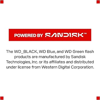 SSD 1TB Western Digital WD Blue SA510, SATA III, M.2 2280, Leitura