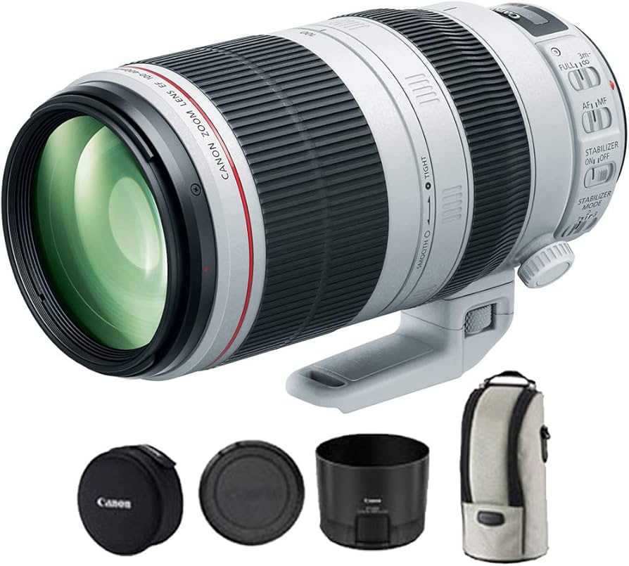 Amazon.com : Canon EF 100-400mm f/4.5-5.6L is II USM Lens