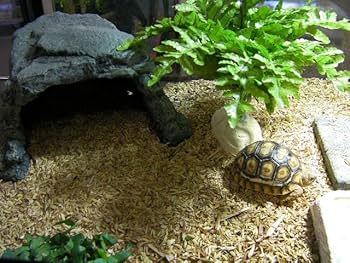 Amazon | 糞尿を分解するマット Bio Gio Mat（バイオジオマット）業務