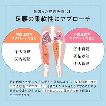 Amazon.co.jp: [Circle balance] サークルバランス 関節ツイストボード