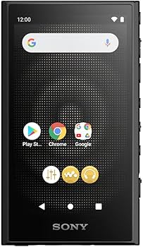 Amazon.com: Sony NW-A306 Walkman 32GB Hi-Res Portable Digital