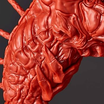 61ylxzF8+kL._AC_UF350,