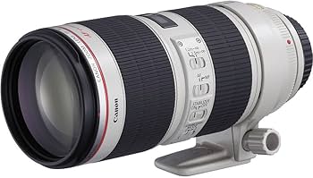 Canon Lens - EF 70-200mm f/2.8L IS II USM-Black : Amazon.in