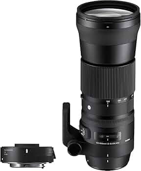 Amazon.com : Sigma 150-600mm F5-6.3 Contemporary DG OS HSM & TC