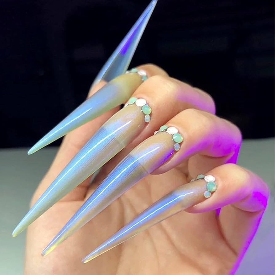 Amazon | 非常に長いネイルチップ、ネイルサロン用の10種類のサイズの