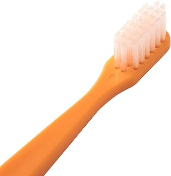 Amazon | 福田ブラシ工業 【日本製】 20本入り（5色各4本） 歯科医院