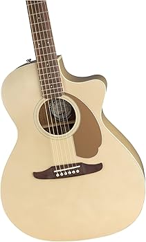 Amazon | Fender エレアコ Newporter Player, Champagne ソフトケース