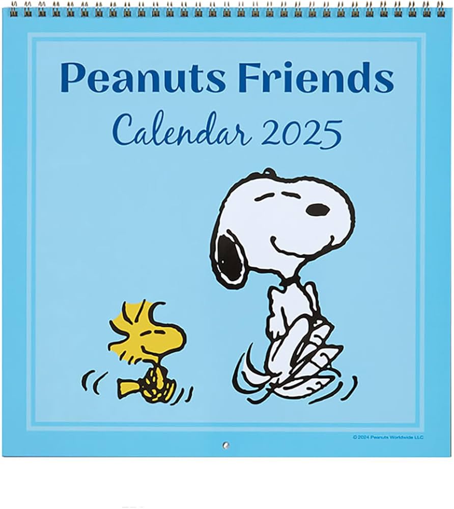 Amazon.co.jp: サンリオ(SANRIO) ウォールカレンダー L 2025年