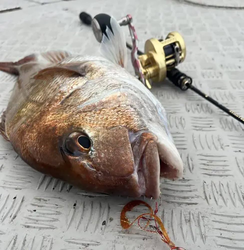 スタート BRM-B66UL-AS オールソリッド BRAHMAN(ブラフマン) タイラバ