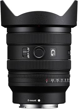 Amazon.com : Sony FE 16-25mm F2.8 G Wide-Angle Zoom Lens (SEL1625G