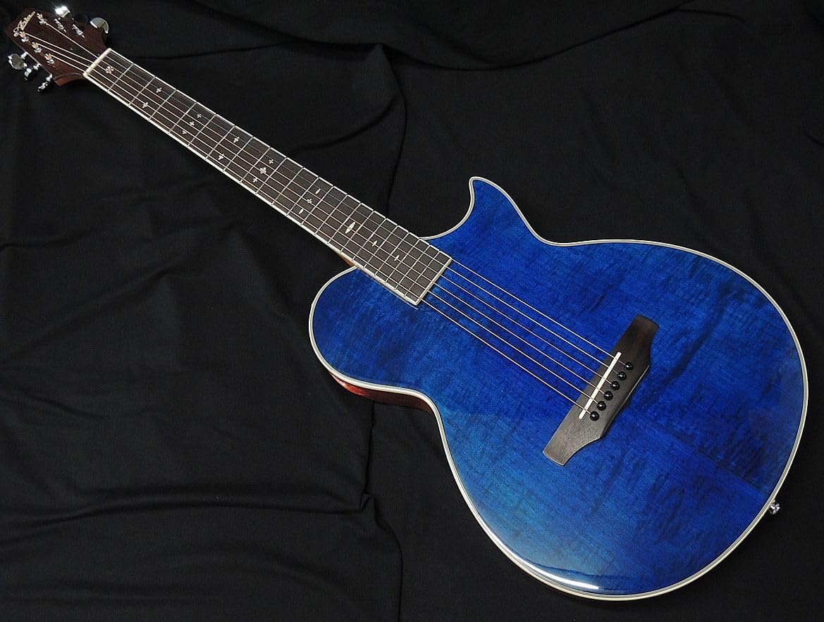 Amazon | ARIA APE-100 SBL 薄胴 エレアコ エレクトリック