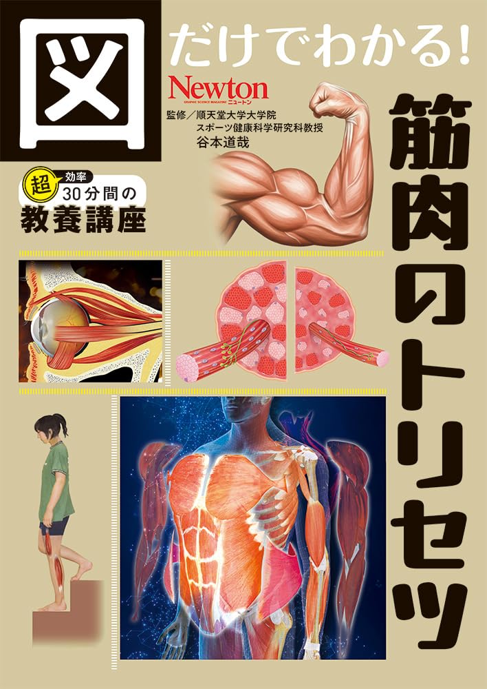 Amazon.co.jp: 図だけでわかる！ 筋肉のトリセツ (図だけでわかる