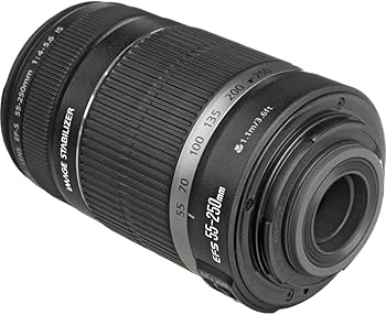Amazon.com : Canon EF-S 55-250mm f/4.0-5.6 is II Telephoto Zoom