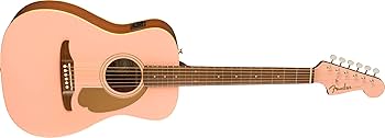 Amazon.co.jp: Fender フェンダー エレアコ FSR Malibu Player, Walnut