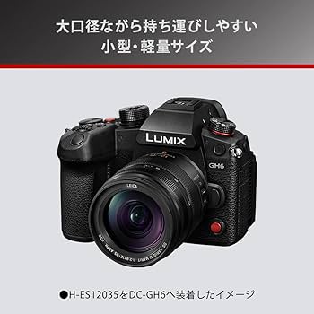 Amazon.com: Panasonic H-ES12035 Leica DG Vario-ELMARIT 12-35mm/F2