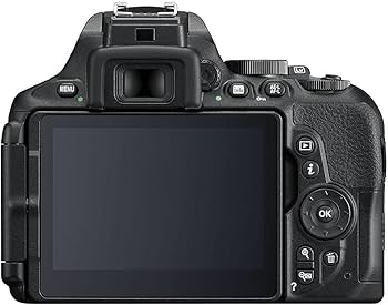 Amazon.com : Nikon D5600 24.2MP DSLR Digital Camera with AF-P DX