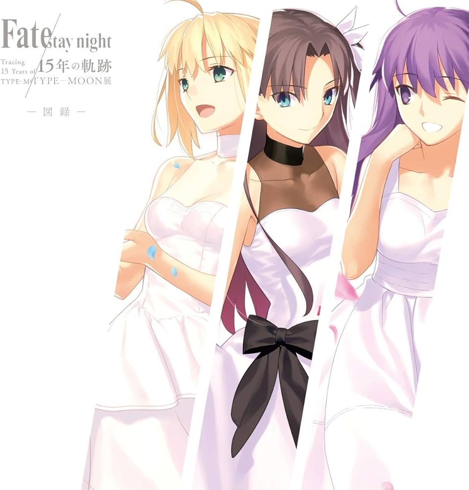Amazon.co.jp: TYPE MOON展 Fate stay night 15年の軌跡 図録 : 本