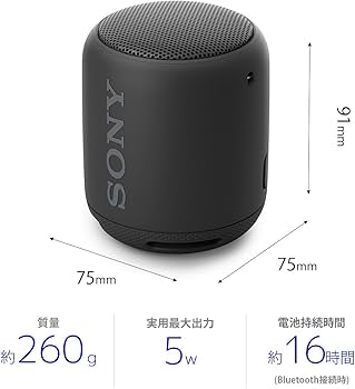 Amazon.co.jp: ソニー ワイヤレスポータブルスピーカー SRS-XB10