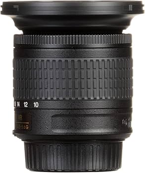 Amazon.co.jp: NIKON AF-P DX NIKKOR 10-20mm f/4.5-5.6G VR 広角