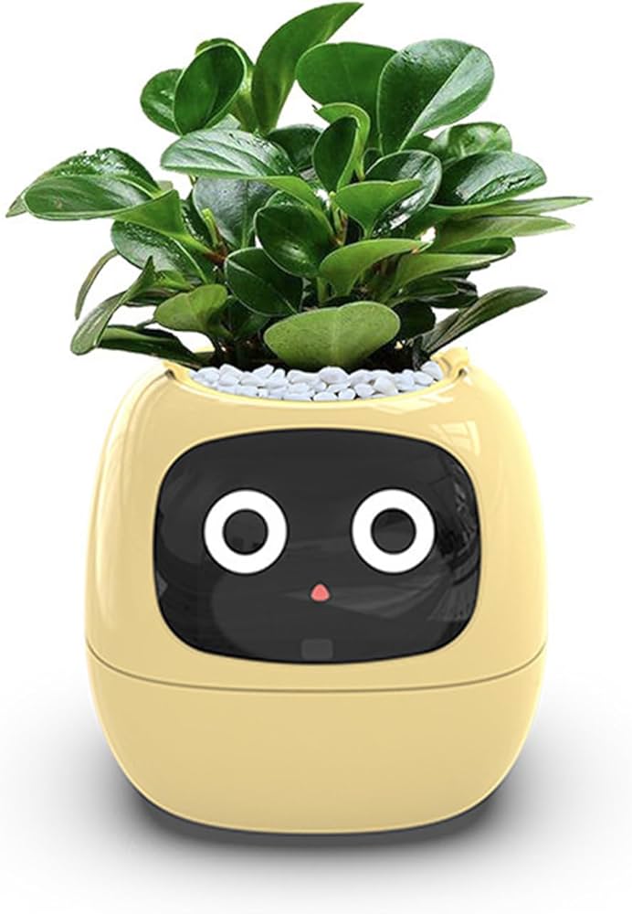 Amazon.com: FXNFXLA Smart Plant Ivy, Smart Pet Planter Robot with