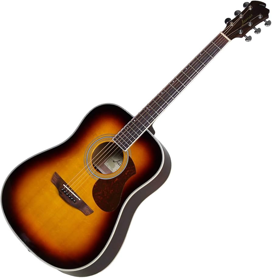 Amazon | James J-300D BBT (ブラウンバースト) アコースティック